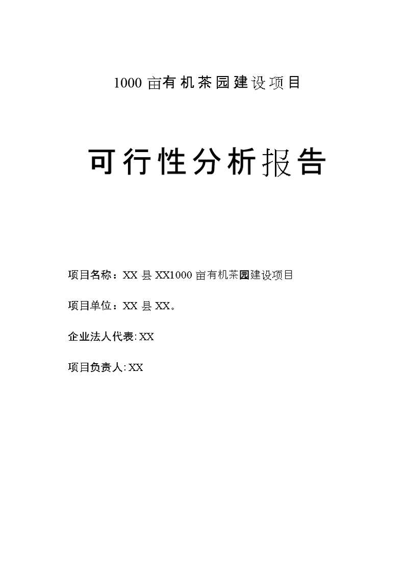 项目可行性分析